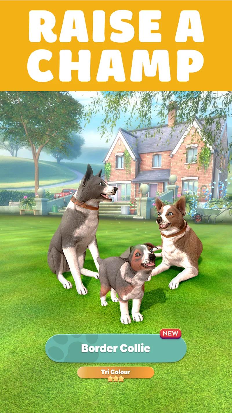 Pocket Paws: My lovely dogs Screenshot 2