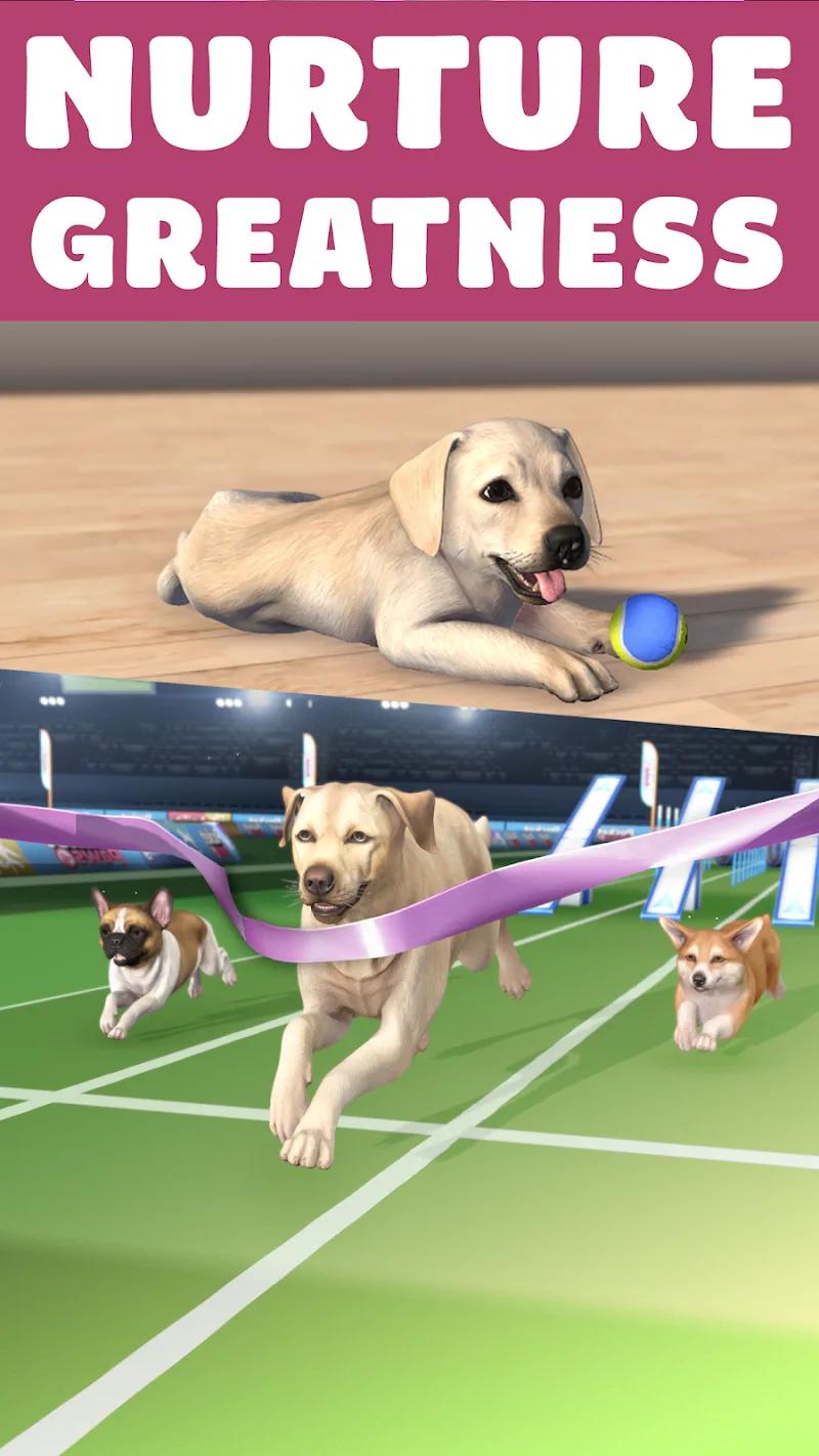 Pocket Paws: My lovely dogs Screenshot 3