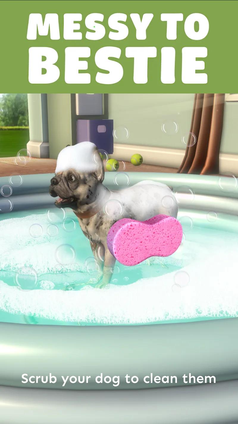 Pocket Paws: My lovely dogs Screenshot 5
