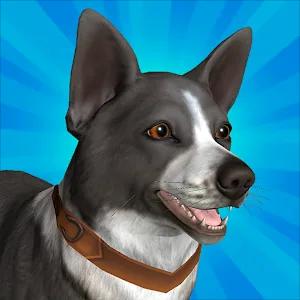 Pocket Paws: My lovely dogs