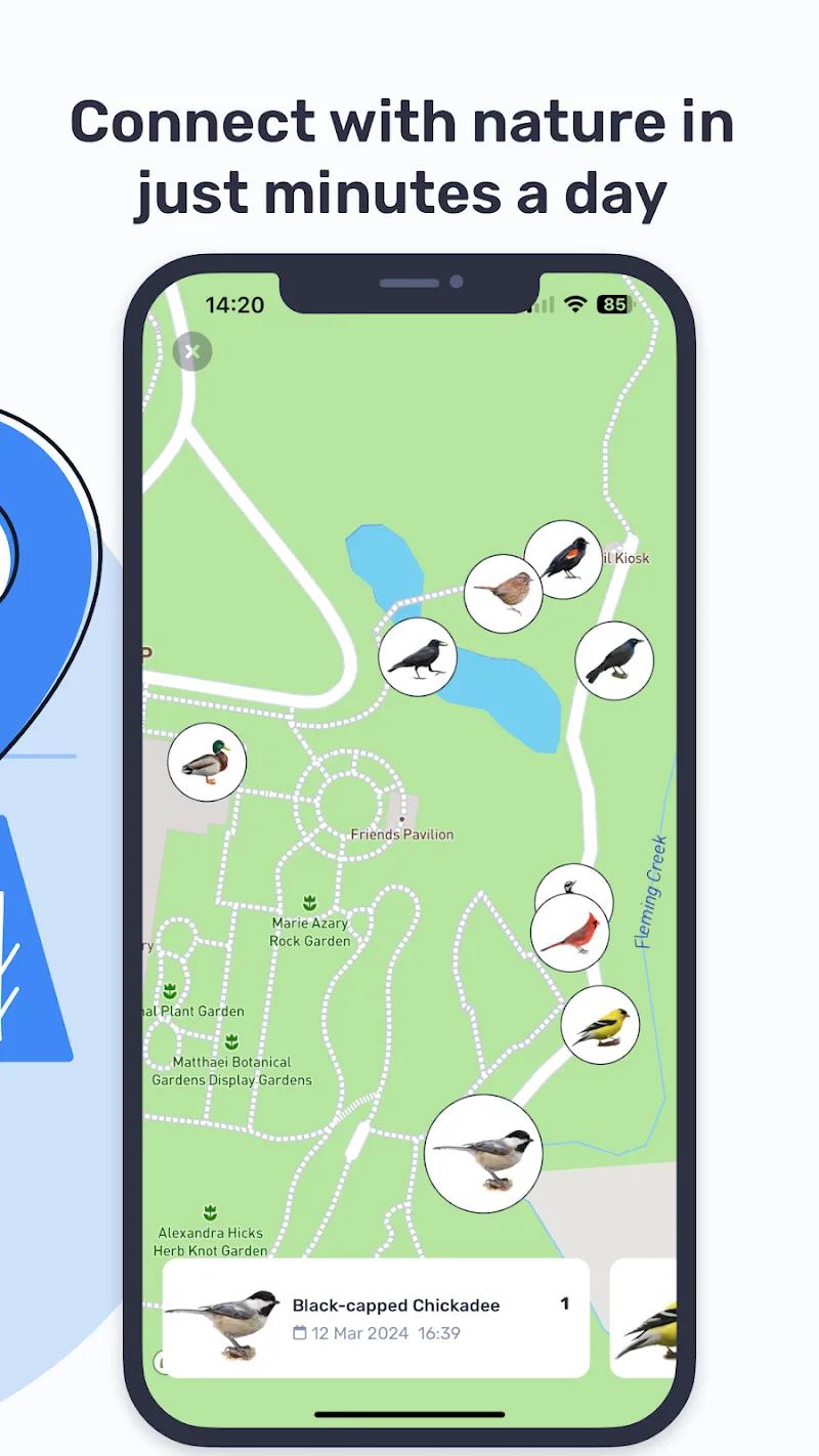 Birda - Birding Made Better Screenshot 4
