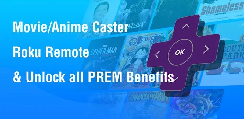Castly -Roku, Chromecast,DLNA Screenshot 1