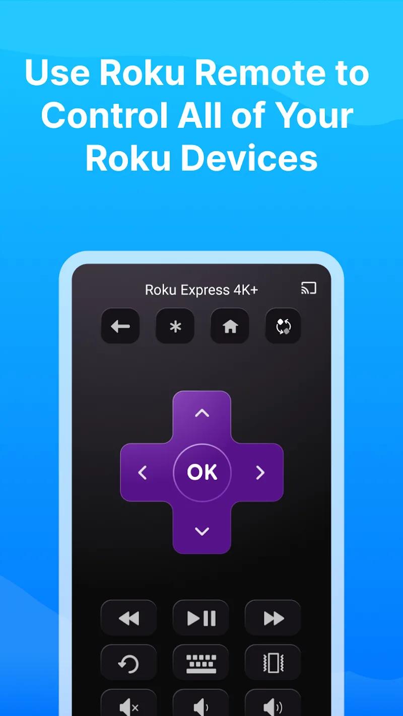 Castly -Roku, Chromecast,DLNA Screenshot 3