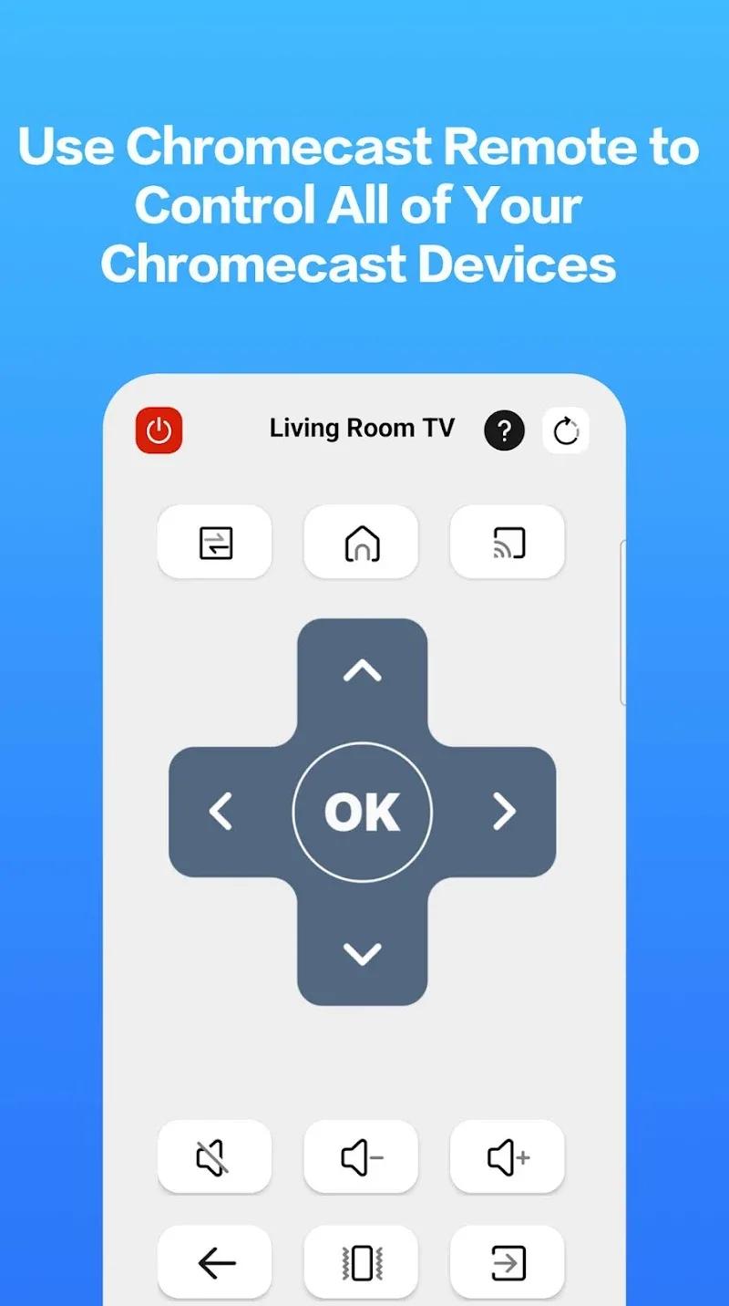 Castly -Roku, Chromecast,DLNA Screenshot 4