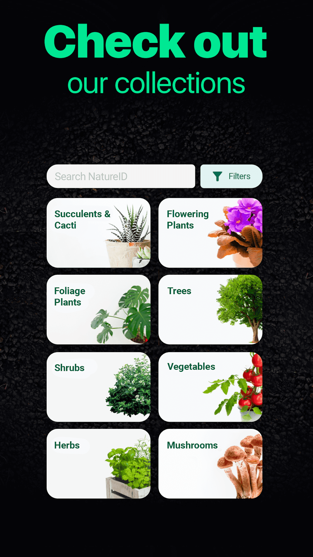 NatureID Screenshot 6