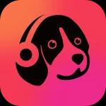 Muso Music Player